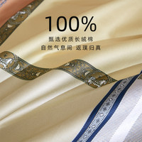 A类100支被套单件纯棉全棉贡缎200x230cm单人被罩220x240cm