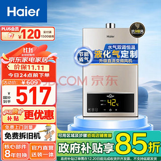 Haier 海尔 JSQ22-12UTS 强排式燃气热水器 12L 液化气