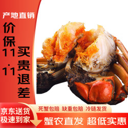湖觅 特大螃蟹大闸蟹全母公母装网兜蟹2/3斤装 全母蟹2斤10-14只/单只1.5-2两