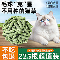 冻干猫草棒磨牙棒猫零食化毛球幼成猫草洁齿益生菌宠物猫咪磨牙棒