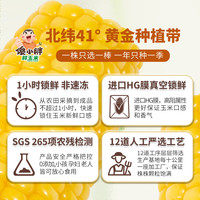 【蜂狂双11零食节】傻小胖内蒙古软糯鲜玉米真空1小时锁鲜非速冻