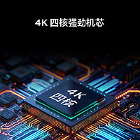 FFALCON 雷鸟 雀5 24款 55英寸4K超高清智能网络AI语音双频WiFi平板电视机