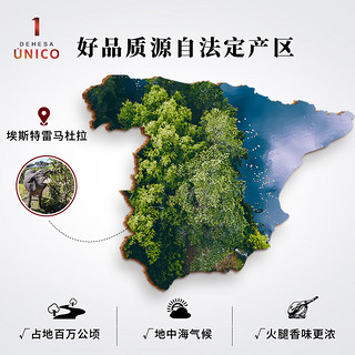 UNICO1 DEHESA西班牙珍藏级塞拉诺火腿7-8kg 即食伊比利亚源头直发 珍藏级塞拉诺7-8kg