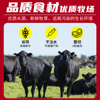 祁连天宝（QI LIAN TIAN BAO）韩式烤肉户外家用新鲜雪花肥牛牛肉片1200g烧烤套餐食材 源头直发