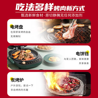 祁连天宝（QI LIAN TIAN BAO）韩式烤肉户外家用新鲜雪花肥牛牛肉片1200g烧烤套餐食材 源头直发