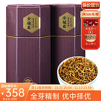 桐木人家 特级 金骏眉 250g*2罐 礼盒装