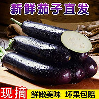 百亿补贴：万户之农 长茄子 4.5-5斤 新鲜蔬菜