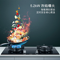 SIEMENS 西门子 嵌入式燃气灶5.2大火力家用官方双灶台式天然气9SM233