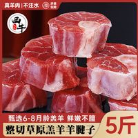 西牛优选 羊腱子5斤新鲜羊小腿肉散养乳羔羊前腱2.5斤切块腱子肉