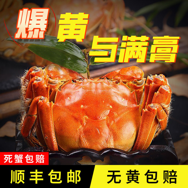 蟹月楼大闸蟹公3.0两母2.0两5对10只[活蟹]