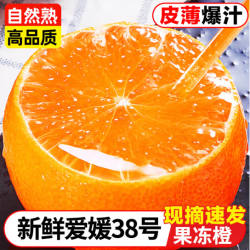 百果捞铺子 四川眉山爱媛果冻橙 8斤装