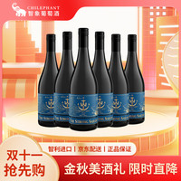 移动端、京东百亿补贴：Sailor Jerry 杰瑞水手 The  Strong  Sailor 水手干红葡萄酒 750ml*6瓶