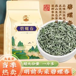 JING FU SHAN 景福山 碧螺春 特级 518g