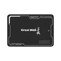 Great Wall 长城 SSD固态硬盘CS20 2.5英寸SATA3.0接口 高速TLC颗粒台式机/笔记本通用 高速TLC颗粒