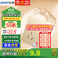 CHNT 正泰 6C 斜五孔插座 墙壁面板 香槟金