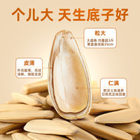 Daxu 大徐 古法打手瓜子大颗粒瓜子400g