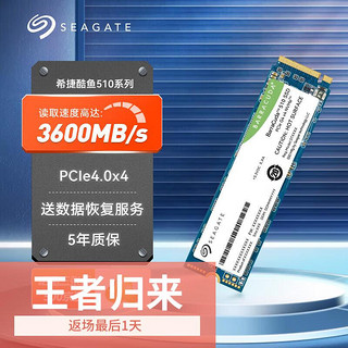 酷鱼510 SSD固态硬盘 M.2接口(NVMe PCIe4.0×4)兼容PCIe3.0 台式机笔记本电脑硬盘 500G