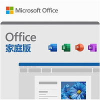 Microsoft 微软 Office 2024家庭终身版