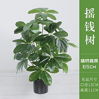 others 其他 美饰每客 假花仿真发财树 65cm18叶摇钱树石膏连盆