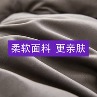 北极绒冬被被子加厚保暖被芯春秋被宿舍棉被四季单人双人被褥