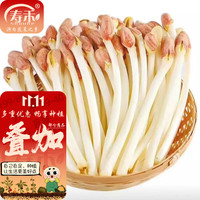 寿禾shouhe 芽苗菜种子萝卜苗四季秋季季四季无土水培蔬菜苗豌豆芽苗 红花生芽种子 500g