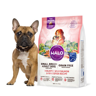 HALO 自然光环 美国进口纯鲜肉小型犬成犬狗粮大包装4.5kg/9.5kg