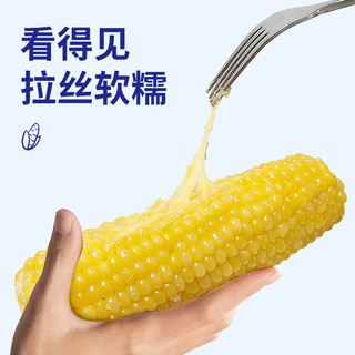 东北黄糯玉米180gx8根真空包装早餐代餐粗粮食品