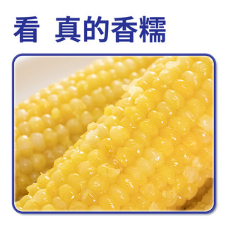 东北黄糯玉米180gx8根真空包装早餐代餐粗粮食品