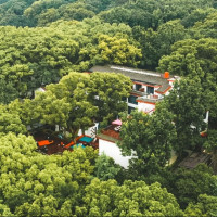 去看山海禅境！就在法雨寺旁，千步沙步行可达！普陀山观堂 兰若房1晚（含双早+素斋+手抄佛经等体验）
