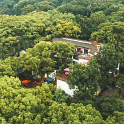 去看山海禅境！就在法雨寺旁，千步沙步行可达！普陀山观堂 兰若房1晚（含双早+素斋+手抄佛经等体验）