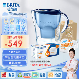 BRITA 碧然德 过滤净水器 家用滤水壶 净水壶 海洋系列 3.5L（蓝）+专家版滤芯11枚 （含附件）