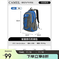 CAMEL 骆驼 户外防水专业登山大容量徒步旅行双肩书包 A9W3C3135A