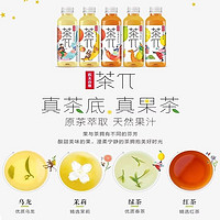 NONGFU SPRING 农夫山泉 茶派π果味茶饮料西柚茉莉蜜桃乌龙柠檬红茶500ml混合味