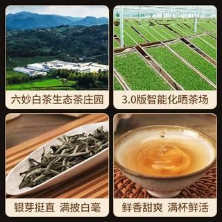 六妙白茶福鼎白茶一级炭焙白毫银针2021年茶叶散茶老白茶礼盒装 一盒260g
