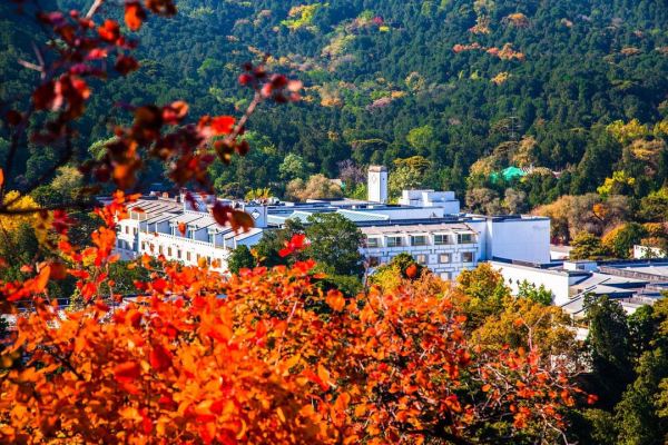 就在香山公园内!北京香山饭店 标准双床房1晚(含双早+香山公园入园礼遇+汉服体验券等)