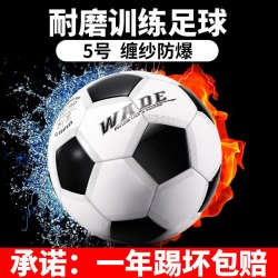 WADE 韦德之道 足球 5号 中考 成人标准世界杯专业比赛训练 青少年小学生五号儿童球