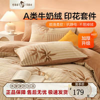 百丽丝水星家纺三四件套a类牛奶绒锁温保暖抗静电可水洗机洗套件 A类牛奶绒套件 1.2米床 适配150*210cm被芯