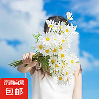 仿真花装饰花绢花塑料花摆件餐桌花 荷兰小雏菊5支花束