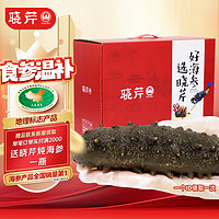 晓芹 即食海参 6-12只 1kg 礼盒装