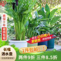 爱丽思圆形树脂花盆多肉月季绿萝花盆爱丽丝塑料种花种菜盆  浅型需盆托 6号浅绿色(口径约20.3cm)