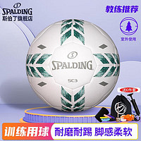 SPALDING 斯伯丁 5号标准比赛PU足球 64-987Y