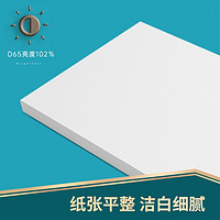 deli 得力 珊瑚海 7365 A3复印纸 70g 500张/包*5包