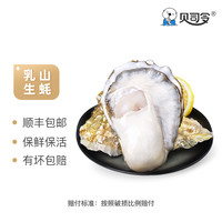 贝司令鲜活乳山生蚝3XL新鲜牡蛎净重4斤10-15只海鲜水产海蛎子