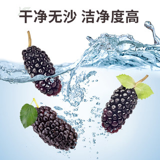 同芙 桑葚干500g 攀枝花无沙大果桑葚子 果干泡水养生茶滋补品药食同源