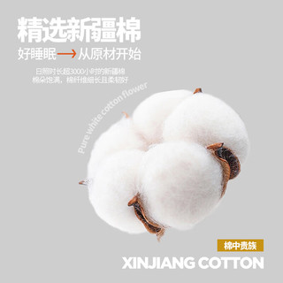 洁丽雅（Grace）3A抗菌被套100%全棉印花单人双人被套四季通用 多米乐180*220cm 180*220cm单被套 多米乐(100%棉 四季皆用)