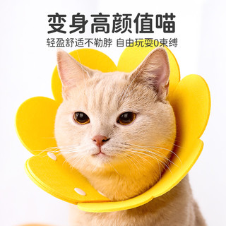 柒哦伊丽莎白圈猫咪绝育项圈伊利沙白圈防舔颈圈头套狗狗脖圈宠物用品