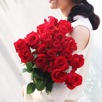 家顺 随机颜色玫瑰 5支