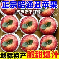 昭通苹果 云南昭通丑苹果大凉山丑苹果当季野生红富士糖心苹果脆甜整箱批发