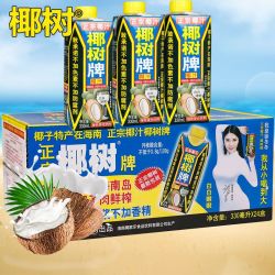COCONUT PLAM 椰树 牌椰汁330mlX24盒椰子汁正宗海南特产水植物椰奶果饮料整箱B
