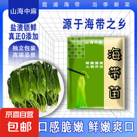 山海中麻 盐渍海带嫩苗 福建细嫩小海带 凉拌火锅涮品 海带苗200g*1包